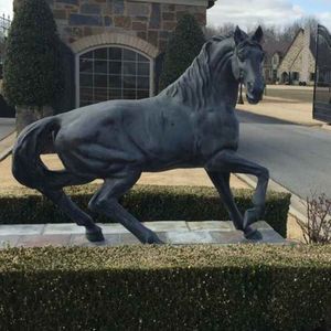 Meet your Posher, Oscar